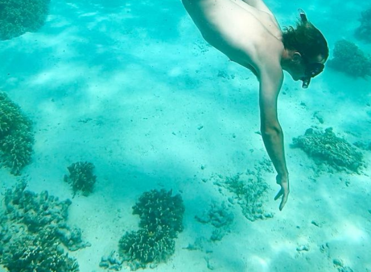 Du khách snorkeling khám phá hệ sinh thái rạn san hô Úc tại Ningaloo Reef Exmouth